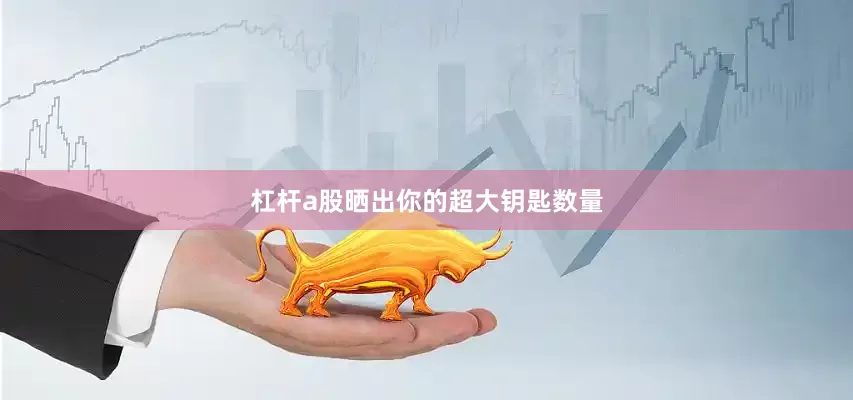 杠杆a股晒出你的超大钥匙数量