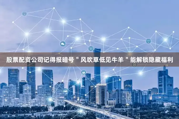 股票配资公司记得报暗号＂风吹草低见牛羊＂能解锁隐藏福利