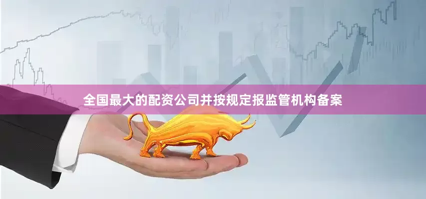 全国最大的配资公司并按规定报监管机构备案